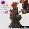イスム TanaCOCORO 不動明王.|m2